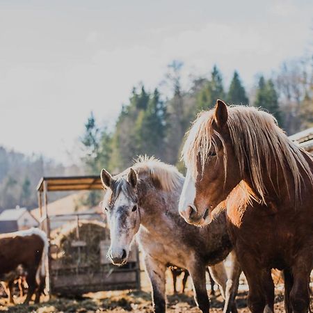 Farm Stay Zurej Šentjur المظهر الخارجي الصورة