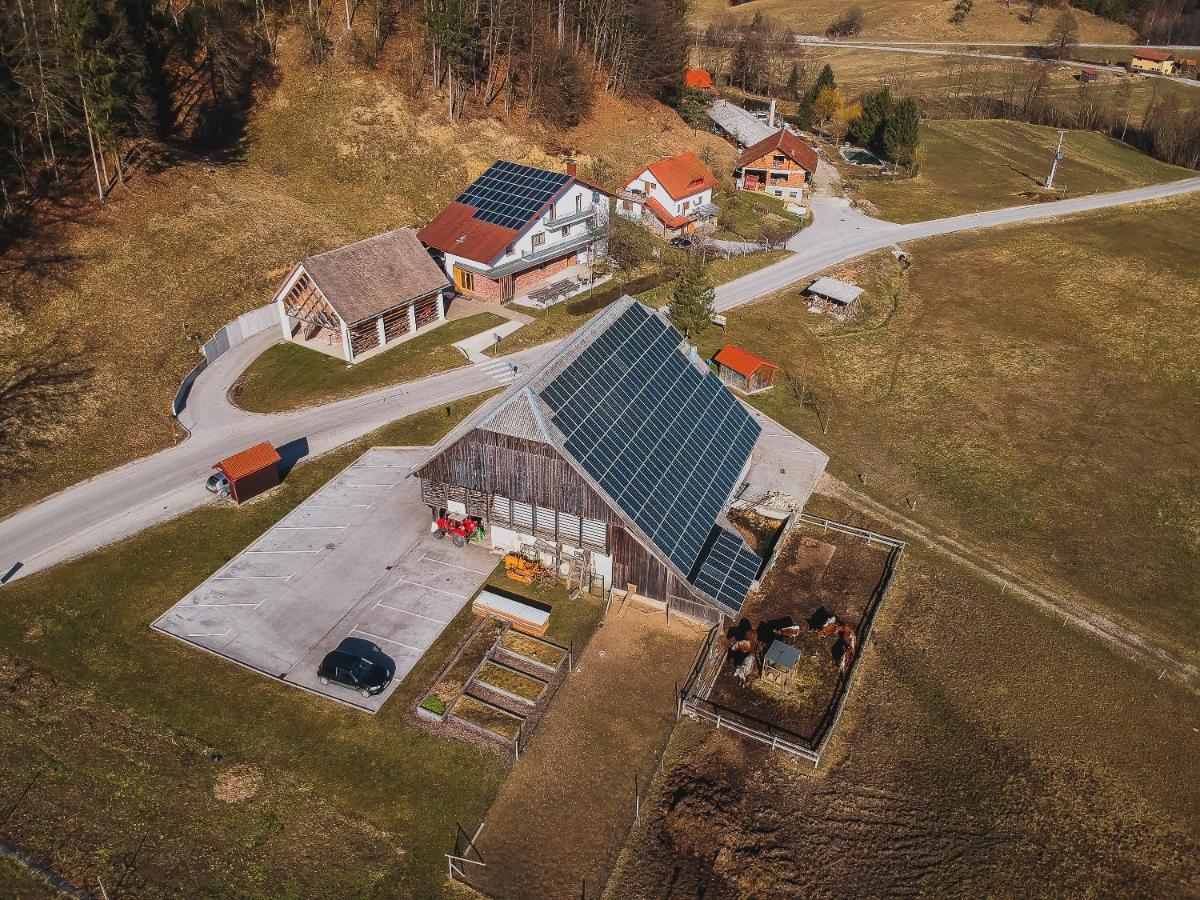Farm Stay Zurej Šentjur المظهر الخارجي الصورة