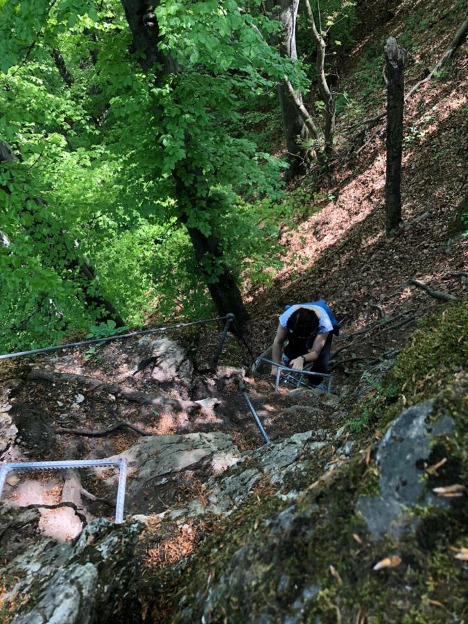 Farm Stay Zurej Šentjur المظهر الخارجي الصورة