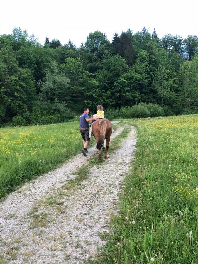Farm Stay Zurej Šentjur المظهر الخارجي الصورة